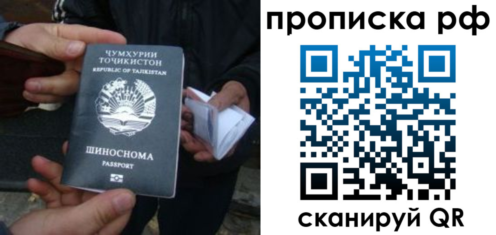 форма 3 в Лузе